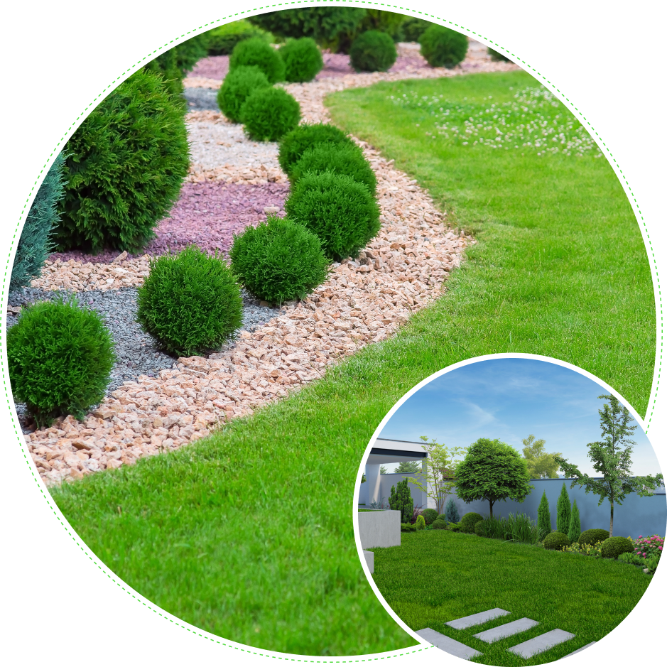 A picture of some bushes and trees in the yard.