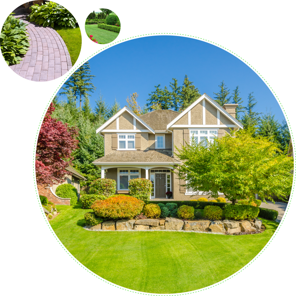 A house with many trees and bushes in the yard