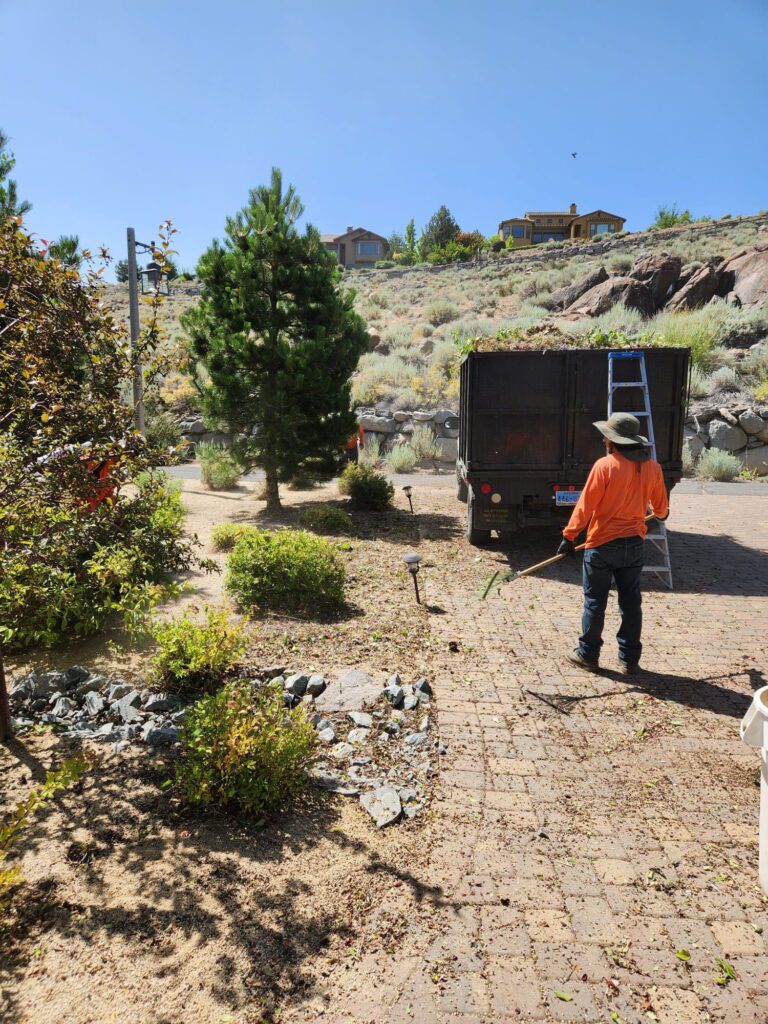 Person planting a tree using professional tree planting services in Reno